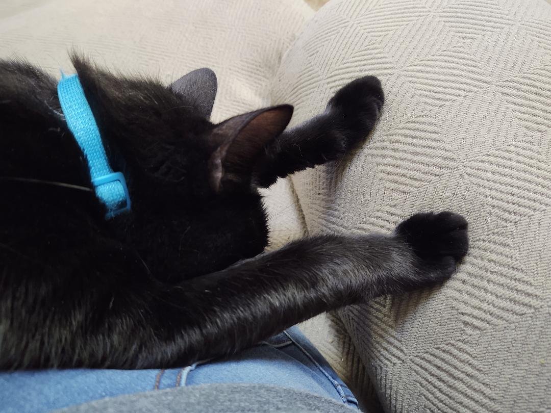 And he sleeps with his feet pushed up against the chair 😊♥️