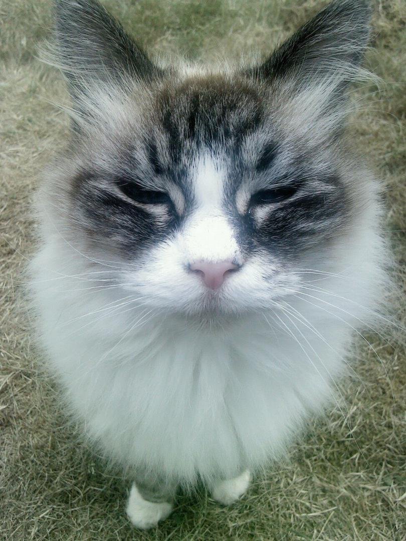 Best Picture of baby