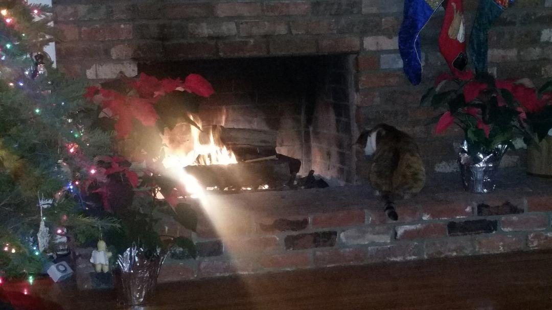 Maureen Path's album, Mobile Uploads