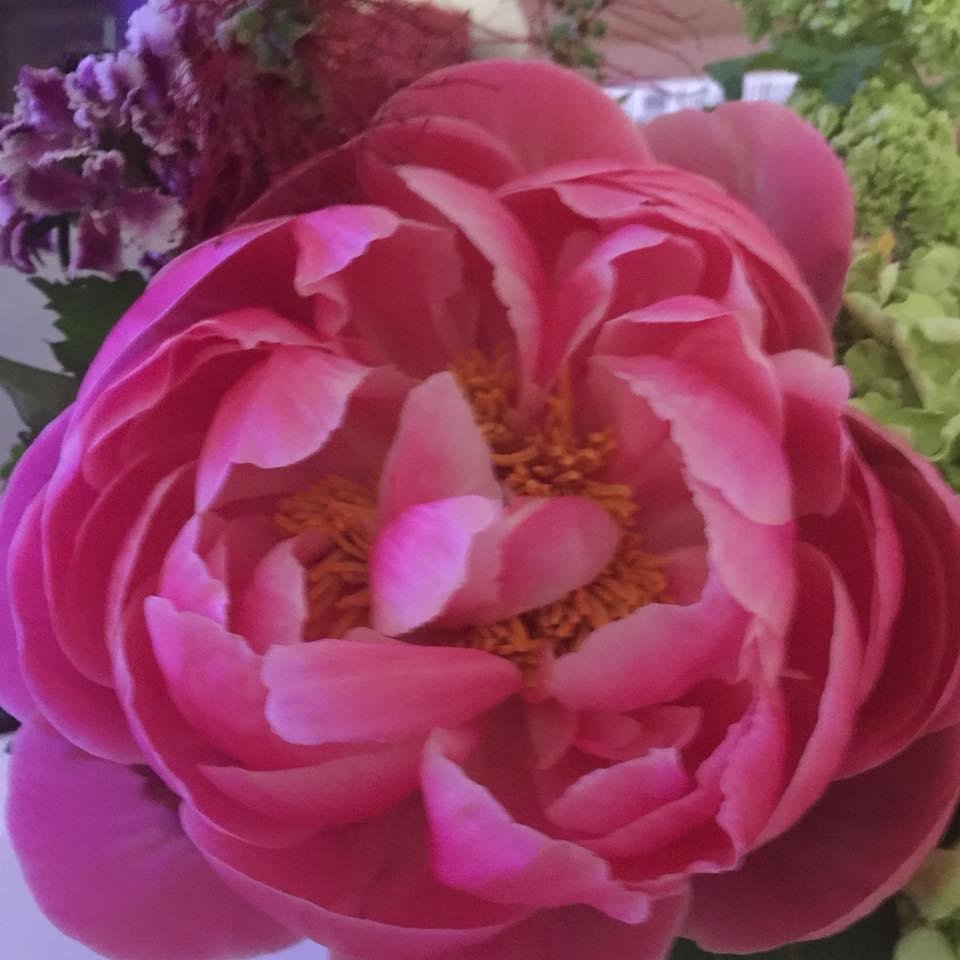 Julia Owens' album, Mobile Uploads