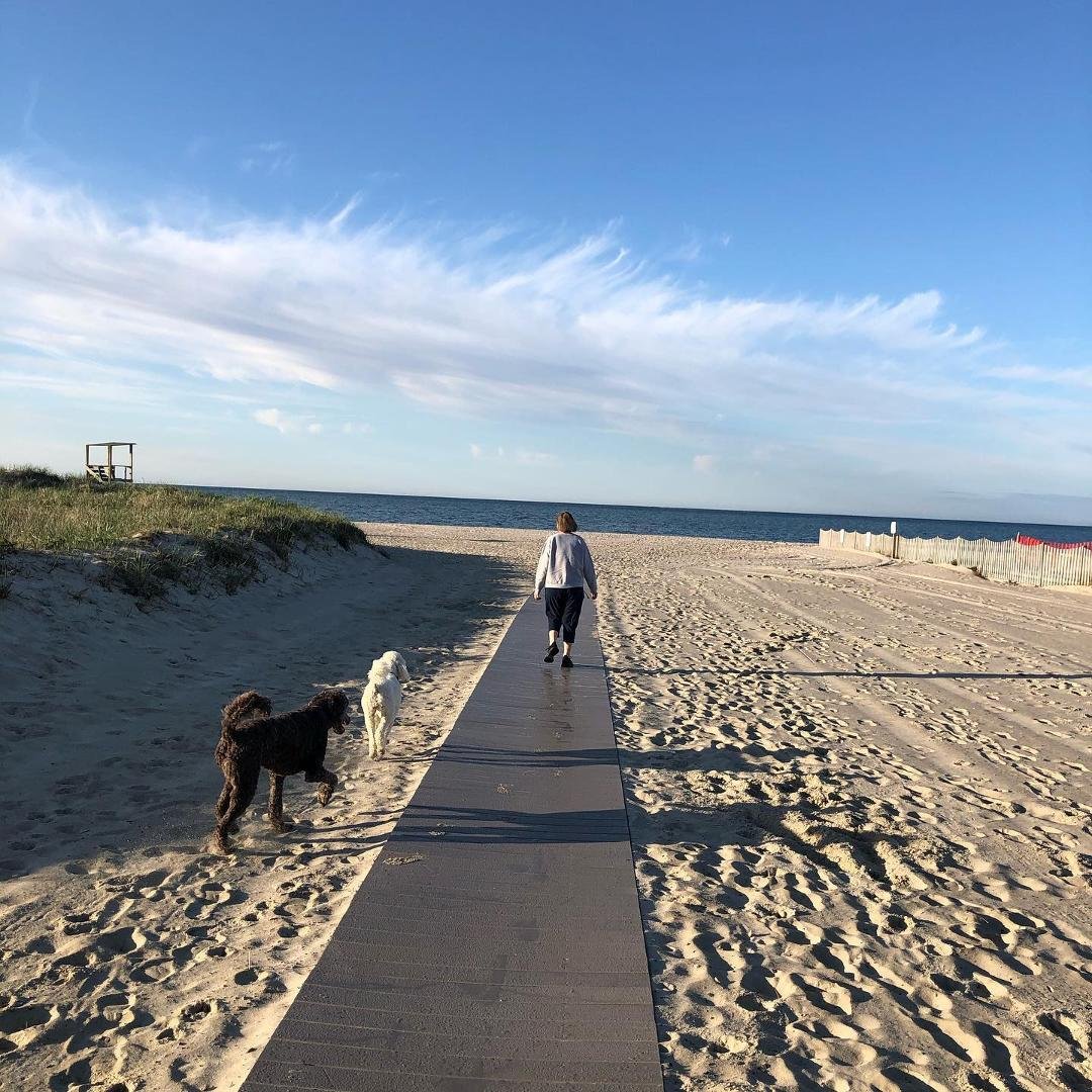 Morning walk at Bank St. Beach with the hounds.