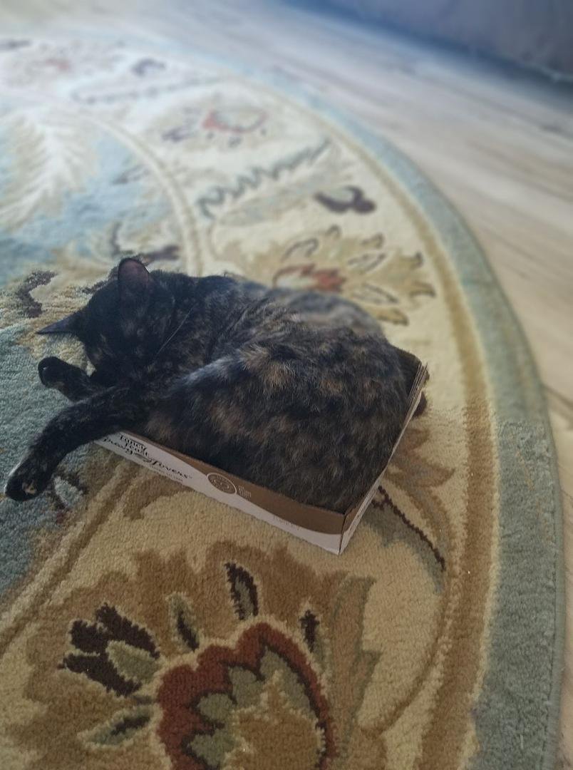Love my box