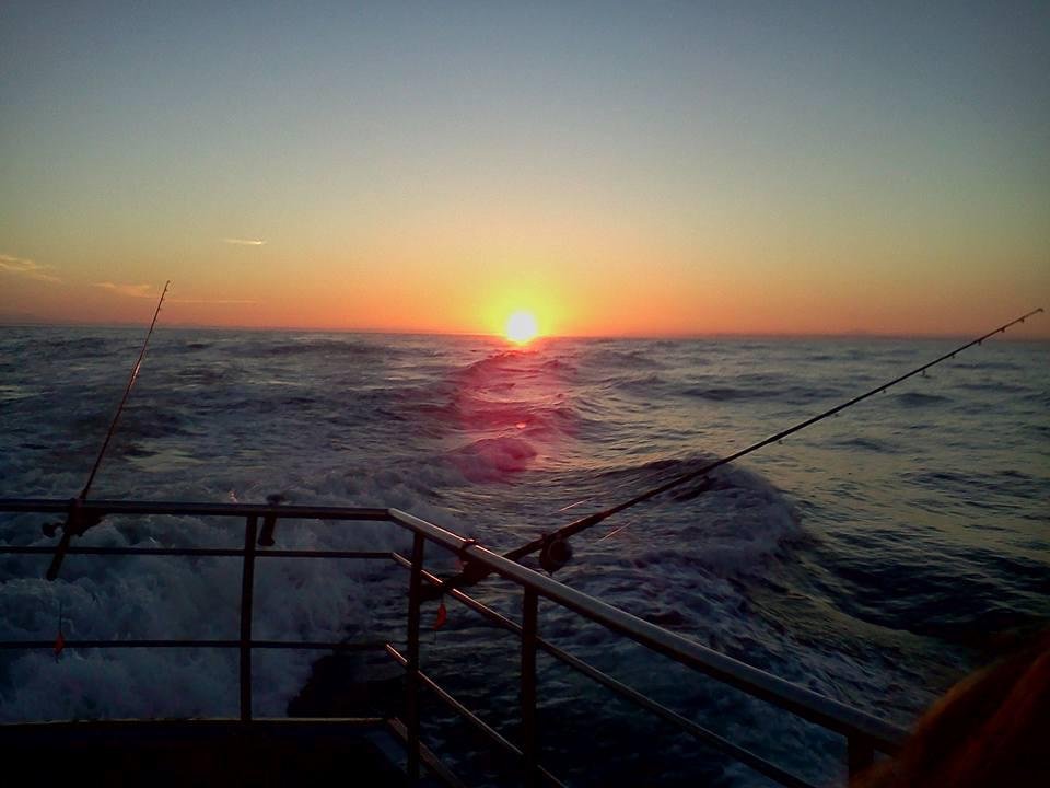 Scott Thiel's album, Mobile Uploads