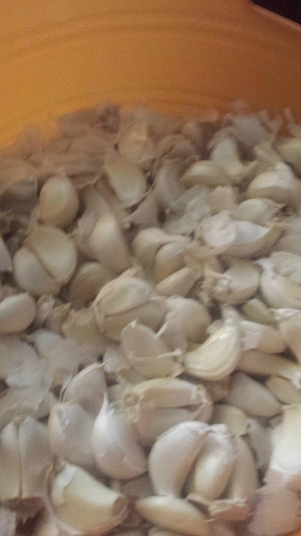 Yep picking garlic today. Staying home today ears hurt doctor says might get better soon.
