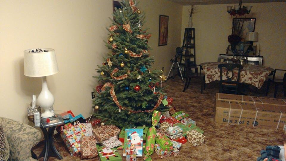 Johnston family tree 2015!