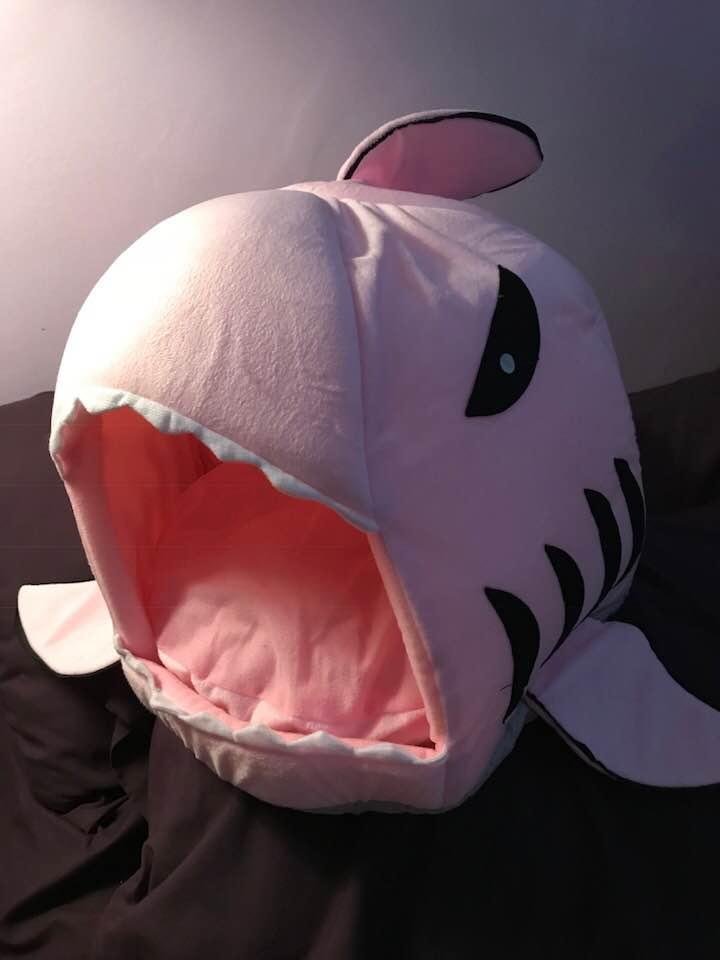 Shark Bed