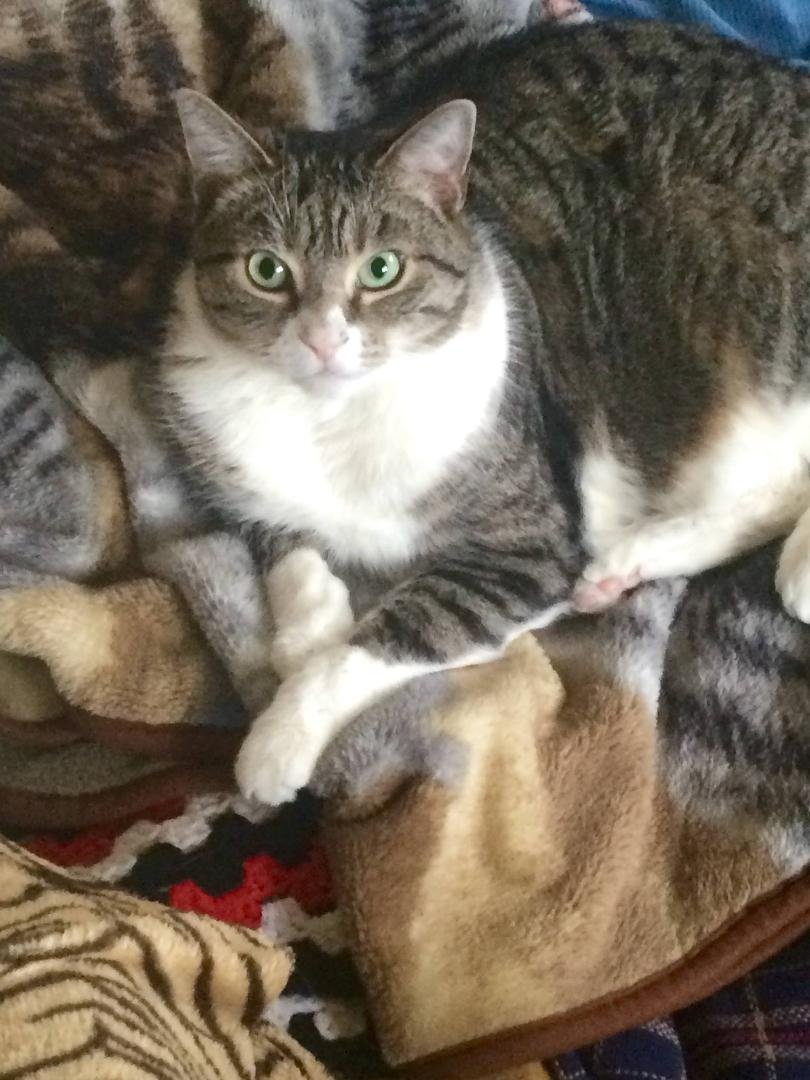 Handsome and spoiled a deadly combination!😻😼