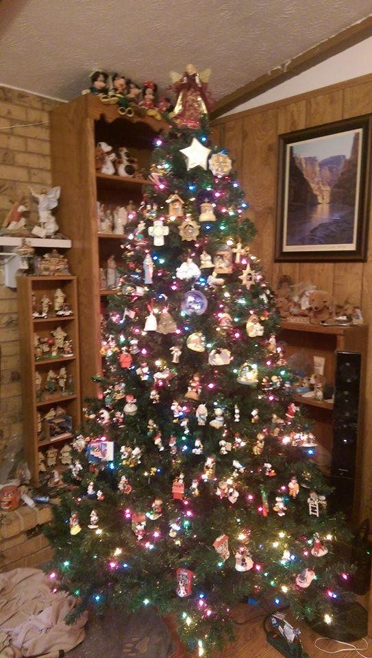 The tree is up!!