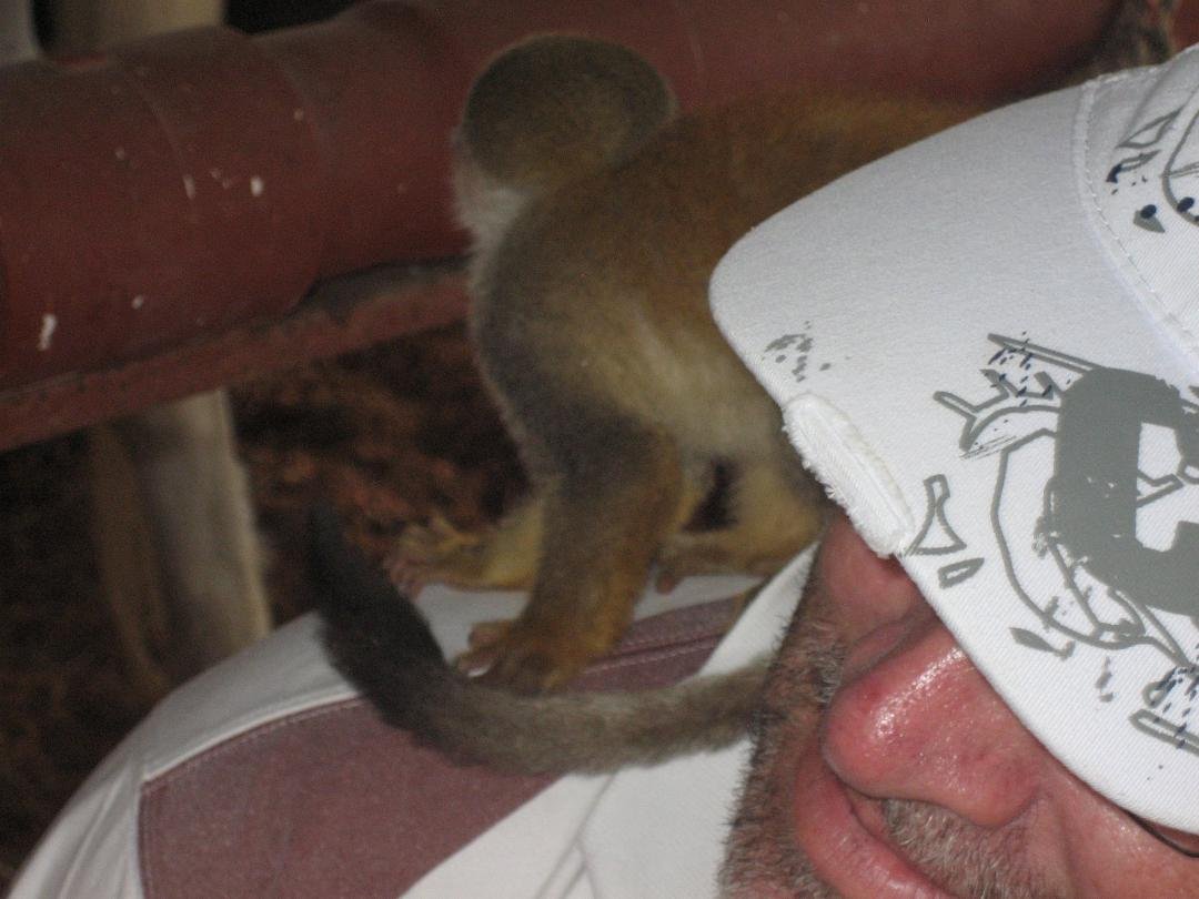 Couldn't get monkey off my back!