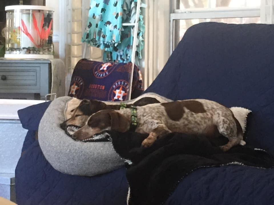Nap time