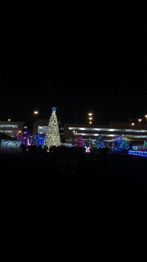 We went downtown Columbus to enjoy the Christmas lights.