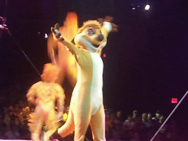 "Timon" comes to Life @ "Festival of Lion King" musical