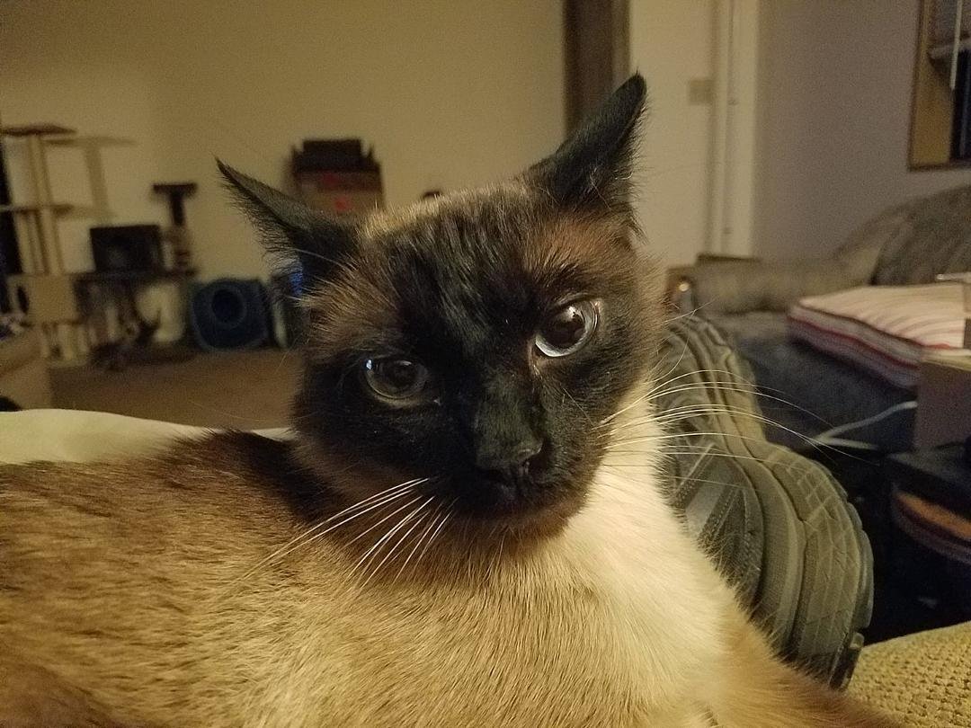 I get a little afraid when he looks at me like this.