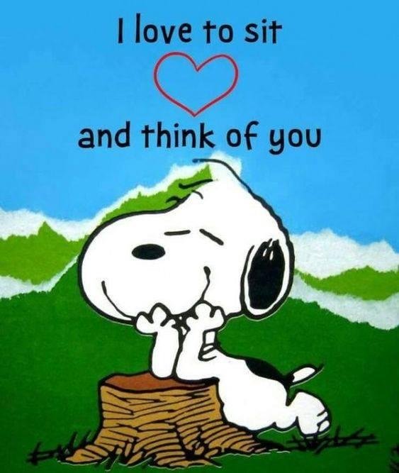 John Calladine's album, Timeline Photos