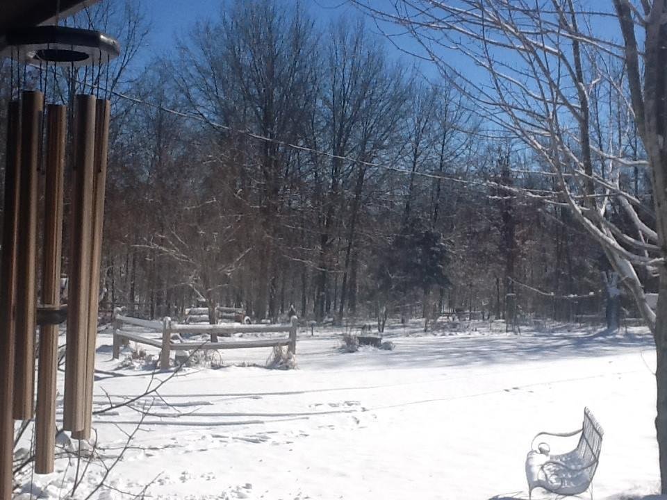 Pat Simmons' album, Timeline Photos