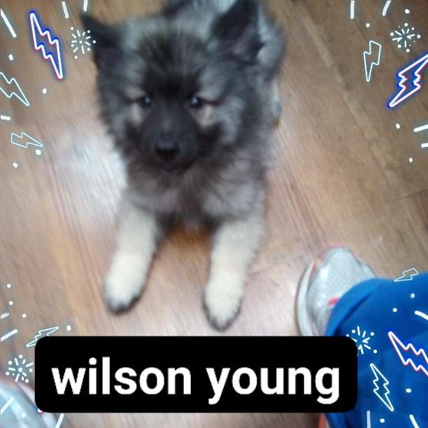 The Young family announces new addition to family. Deb, Bob, Josh, Carly, Khan, Poppy, woody, Tuck, cuff & link, Max and The Birds welcome Master Wilson Young. What a miracle to have this lovely soul come to us. We are comp
