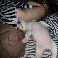 Robert Kissel Sr.'s album, Timeline Photos