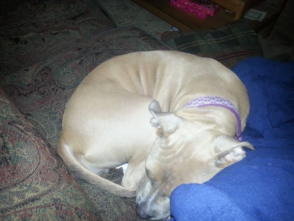 Snuggle bug :)