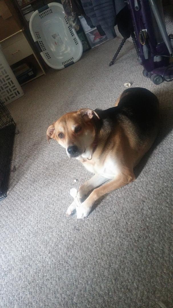 Luckys being silly