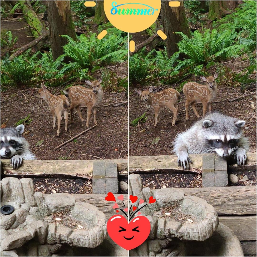 🌞 Happy First Day of Summer 🌞
💗Truly Baby Season💗