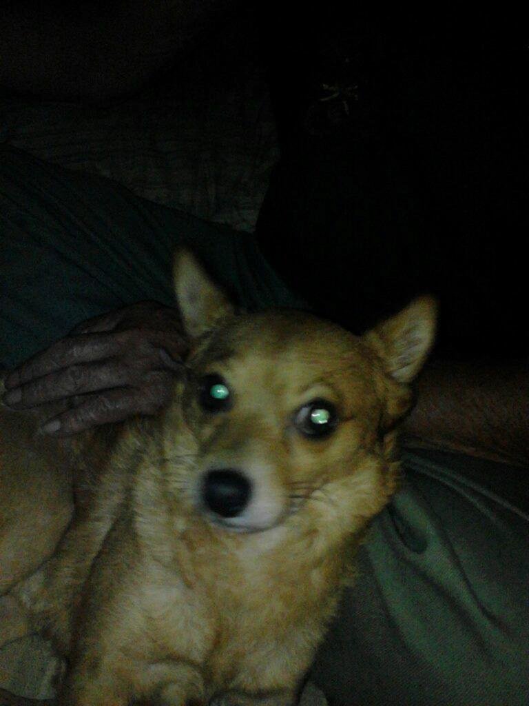 My baby