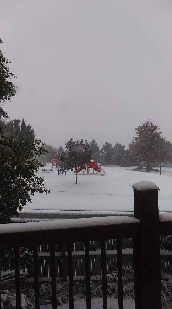Today's snow