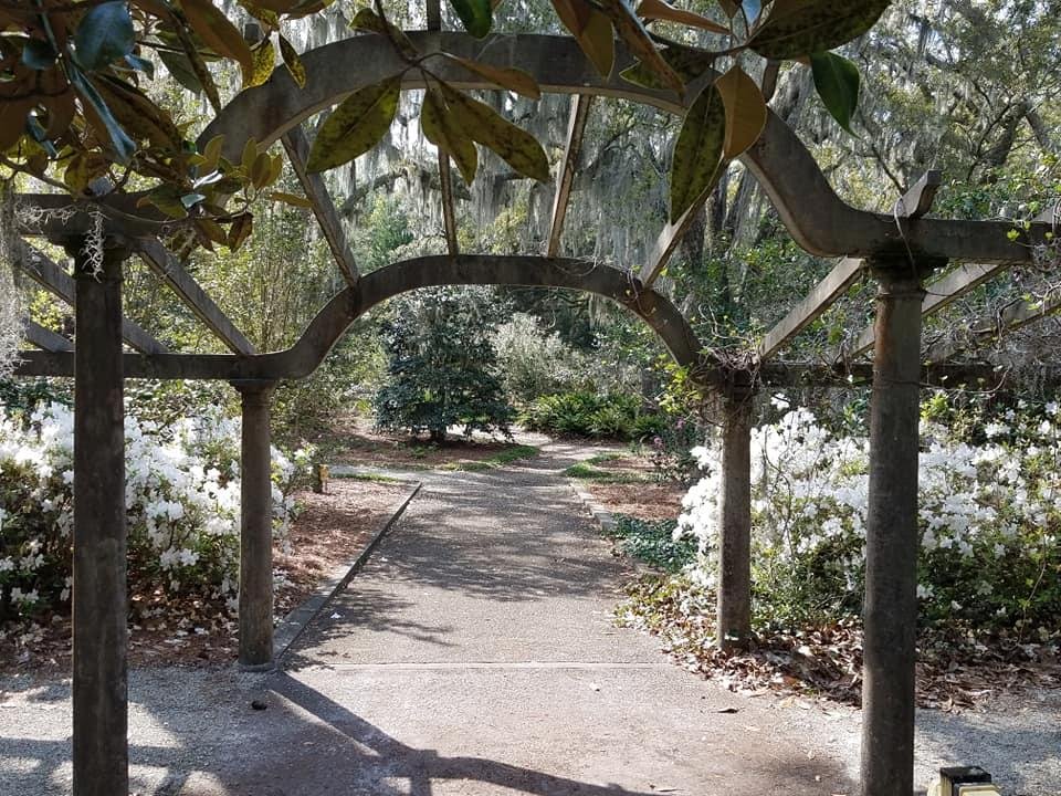 Debra Gimbal's album, Mobile Uploads