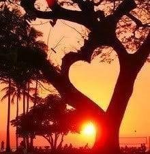 It is absolutely a fabulous day today, enjoy it all my family, and sheryl have a great day girl and enjoy and you to Renita, love you all.