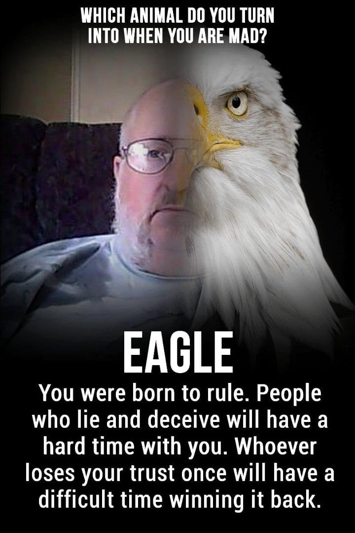 Jerry Lyon's album, Timeline photos