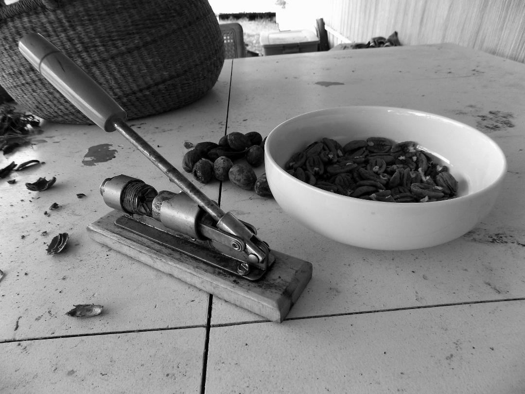 Seven days, seven b/w photos of your life. No people, no explanations. Challenge someone each day. Day one of seven. I challenge Jeanne Kimber.