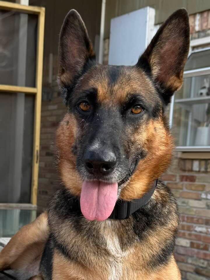 Ellie Mae ❤️
