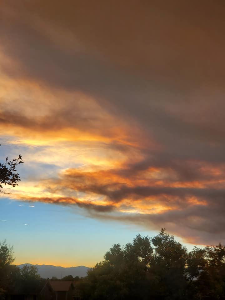 Barbara Allison's album, Mobile uploads