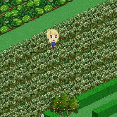 - FarmVille: http://apps.facebook.com/onthefarm/?ref=takePhoto&visitId=1497623618