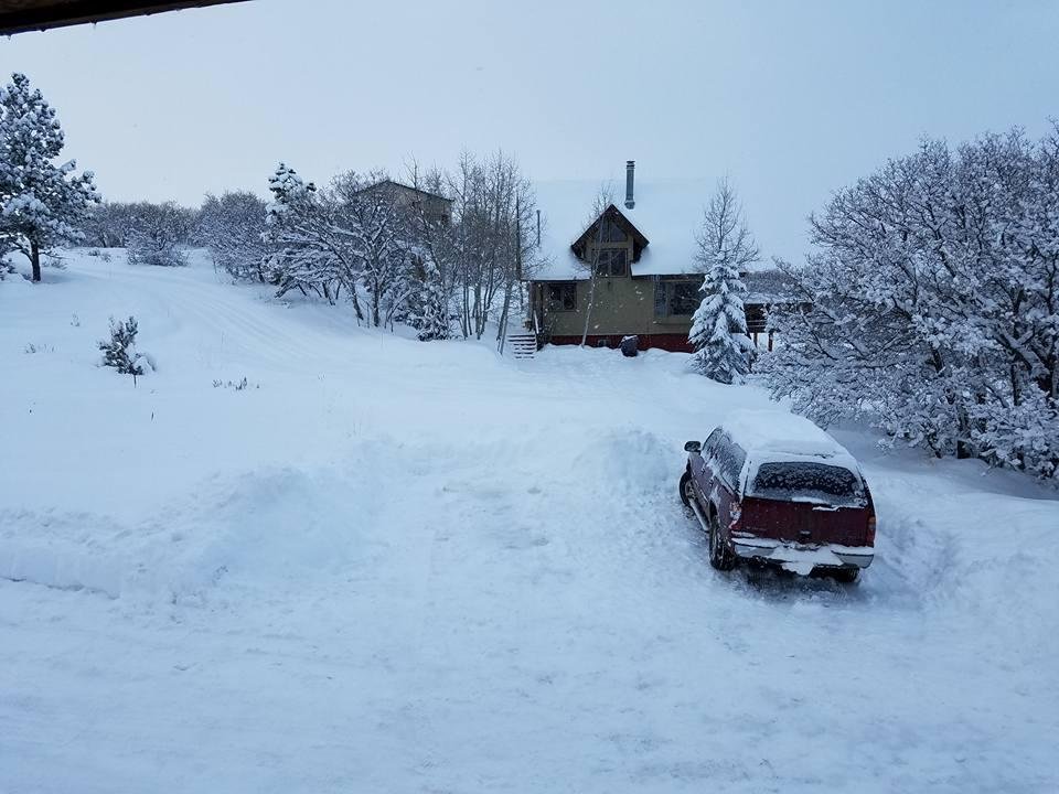 White Christmas, got about a foot last night!