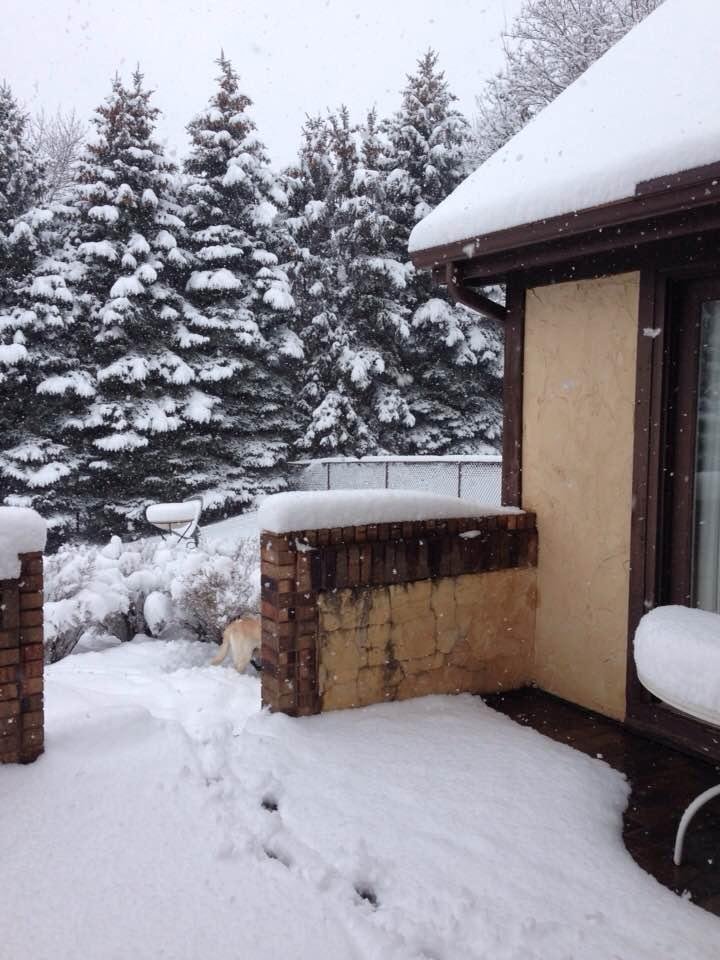 Peggy Zimmerman's album, Timeline Photos