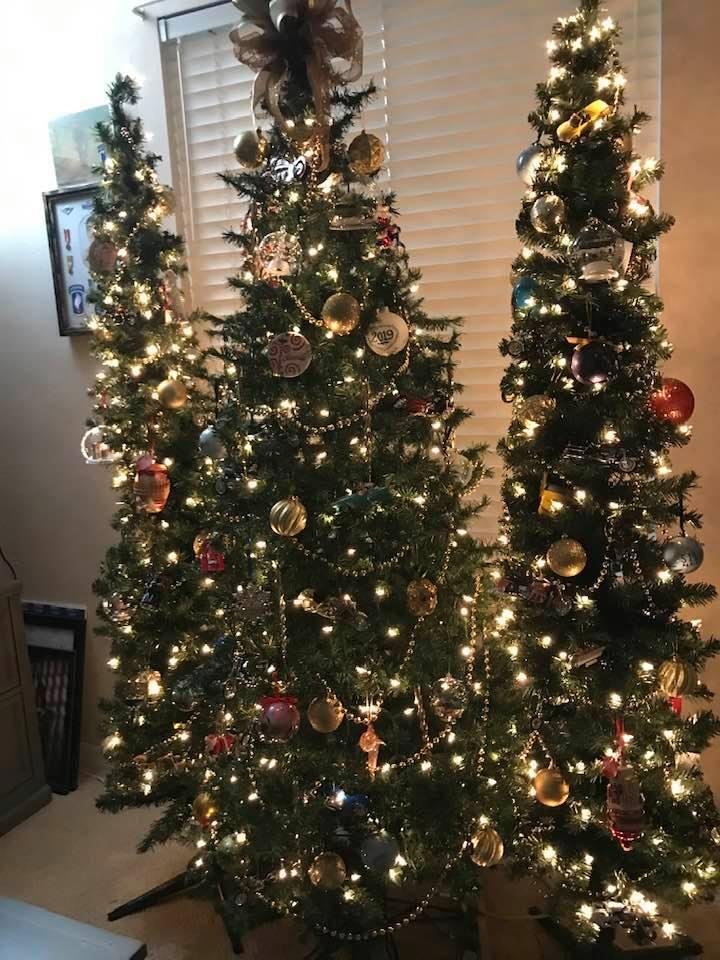 Penny's Trees etc. 2019