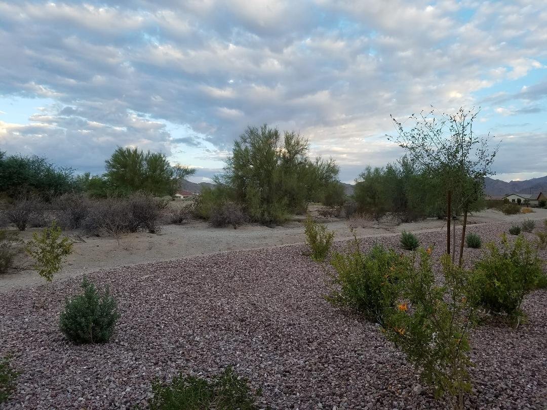 Good morning from somewhere in the desert southwest.  You know, it is rather peaceful here.  Great home to rest and relax in.   Much needed.   Thanks, to Ann Mattis and her sidekick Neal