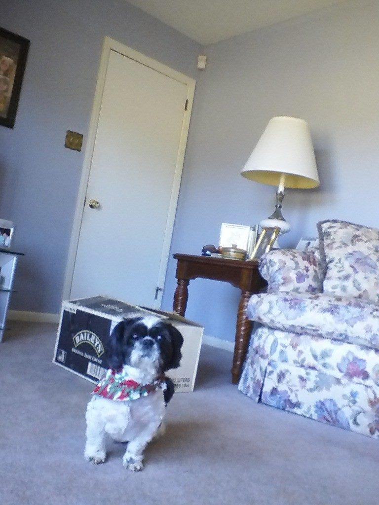 DUDLEY