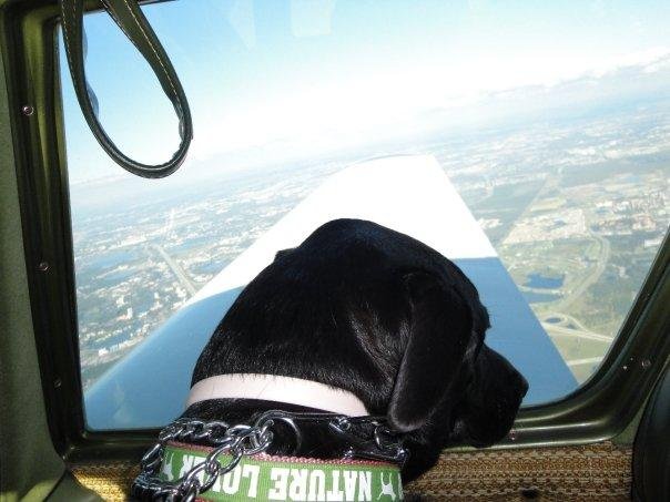 In flight observer