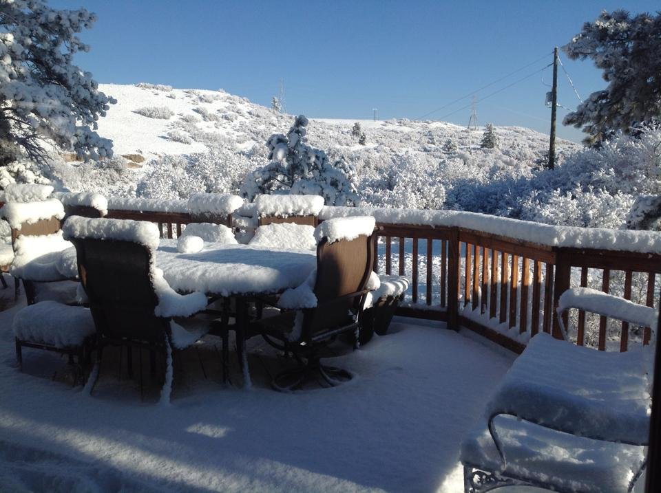 A surprise in my back yard this morning.