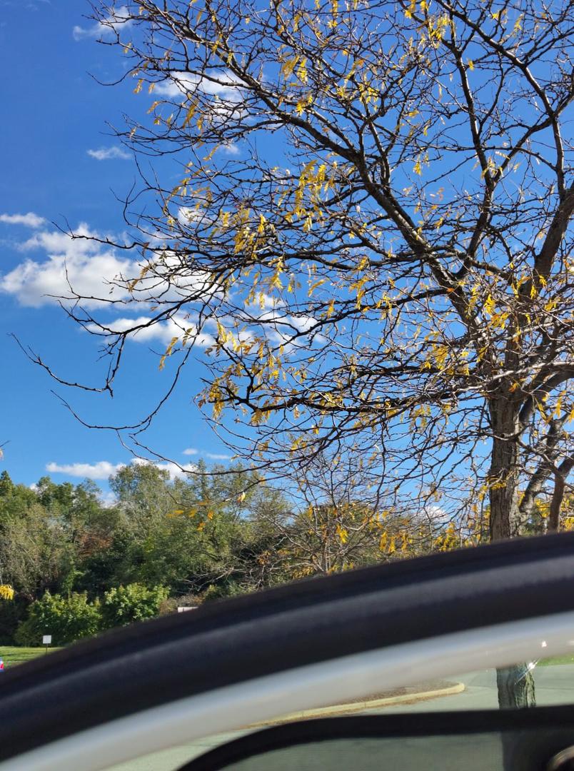 What a beautiful day!