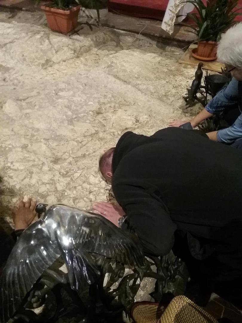 Greetings from Israel. We are heading to the mount of olives now to the garden of Gethsemane ......I will post a great pic of Fr. Chris praying on the stone that Jesus prayed on.