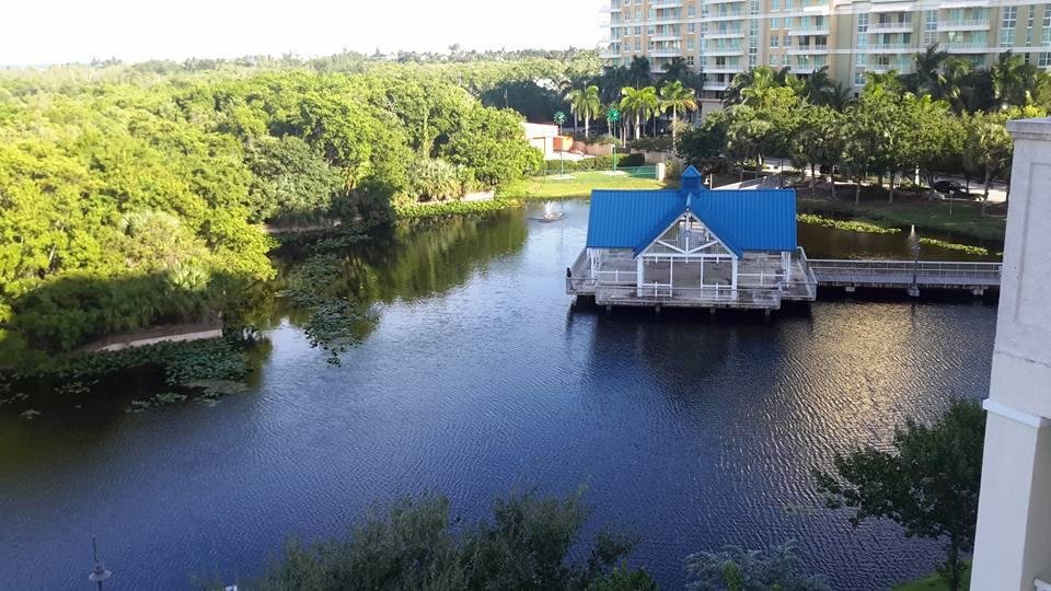 Calm before the storm in our backyard. It's going to be a doozy.