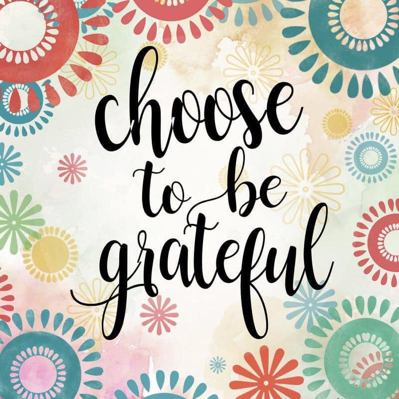 A year ago today, I leaned over to put a garbage sorter liner back into the garbage can and experienced one of the worst shocks of pain I have ever felt. It has been a long road of physical therapy, medications, practising 