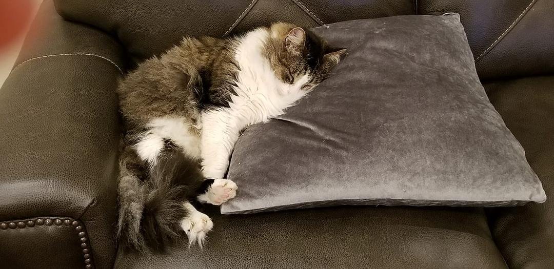 What a life