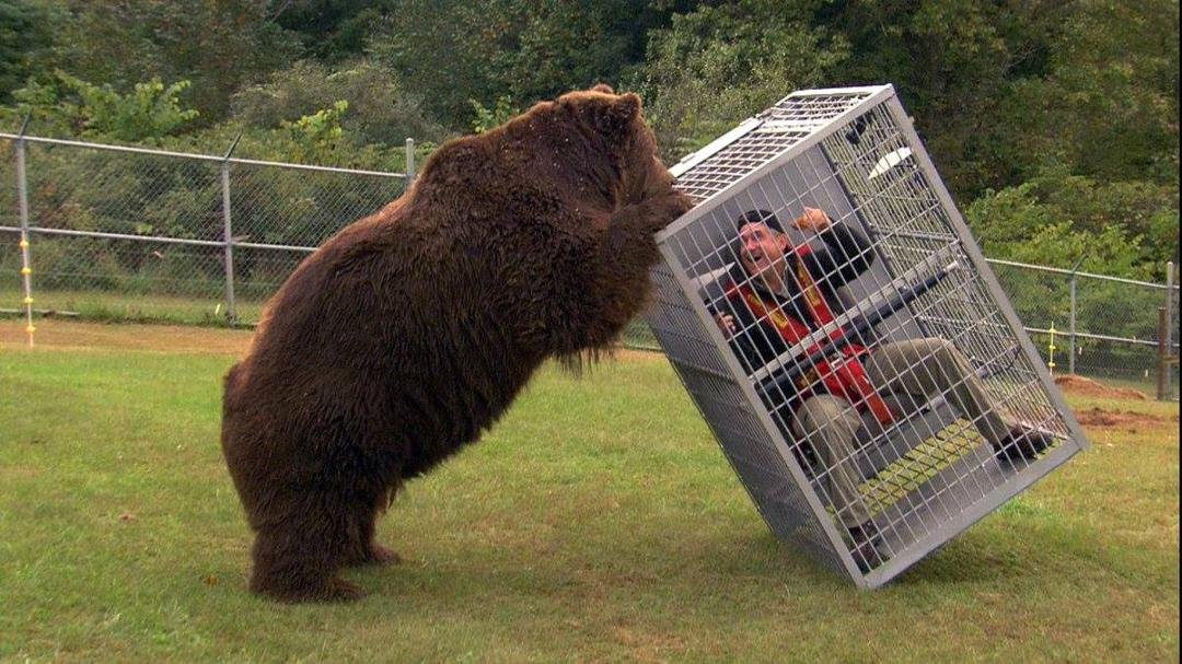 You think your day is not going well?