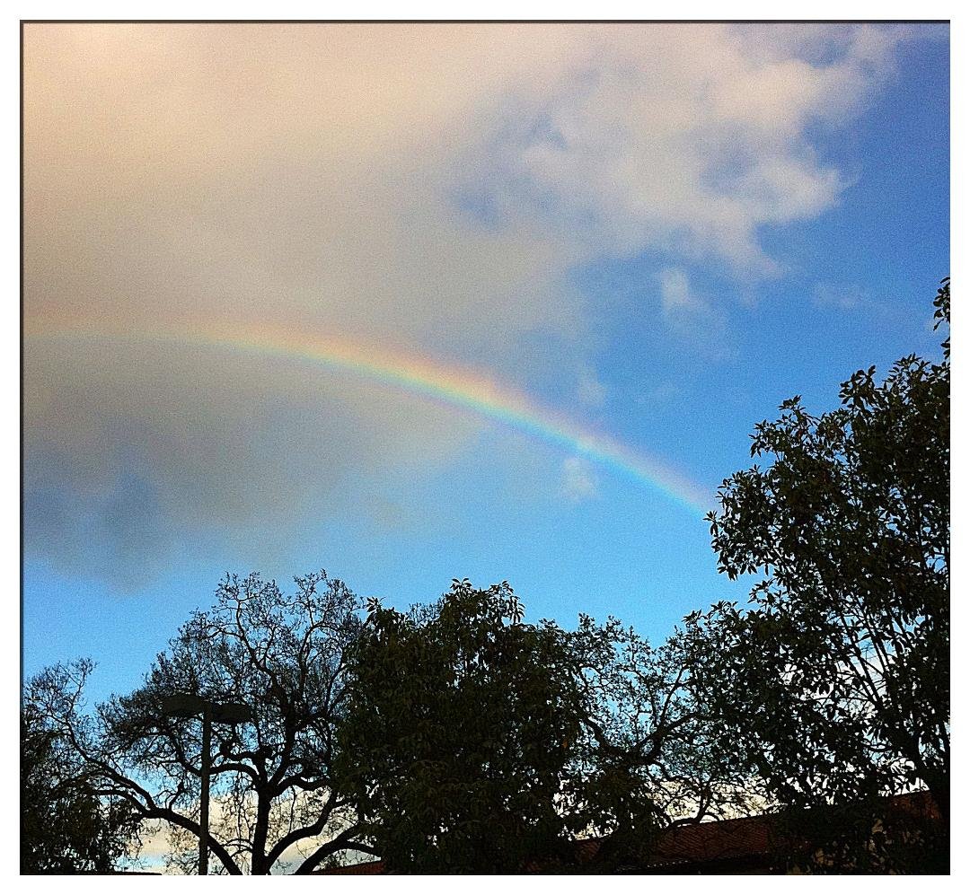 Congrats Tim...Bees are good.
My contribution to Rainbows, Iphone 4