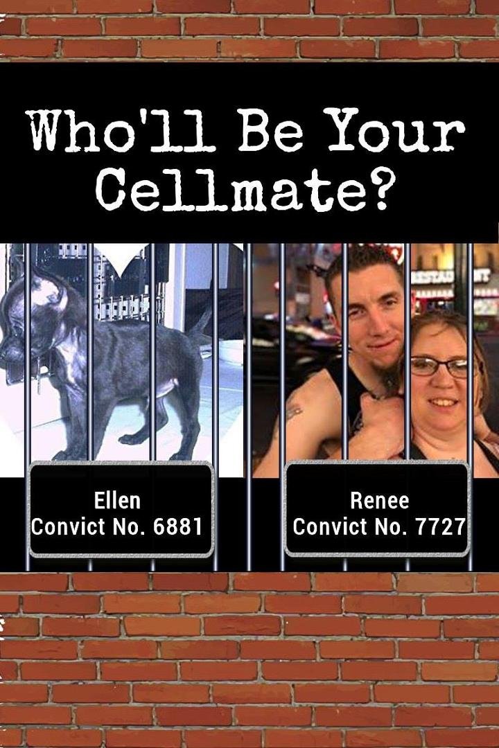 Ellen Ricker's album, Timeline Photos
