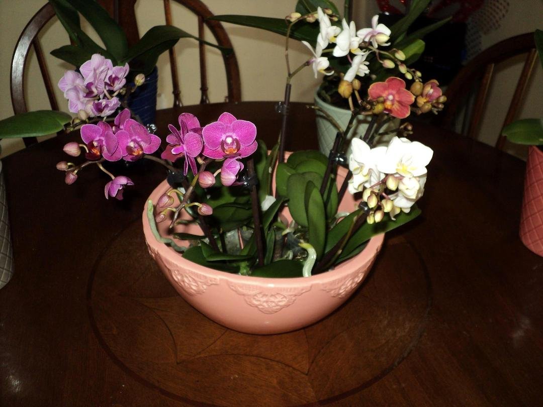 April Hofmann's album, Timeline Photos