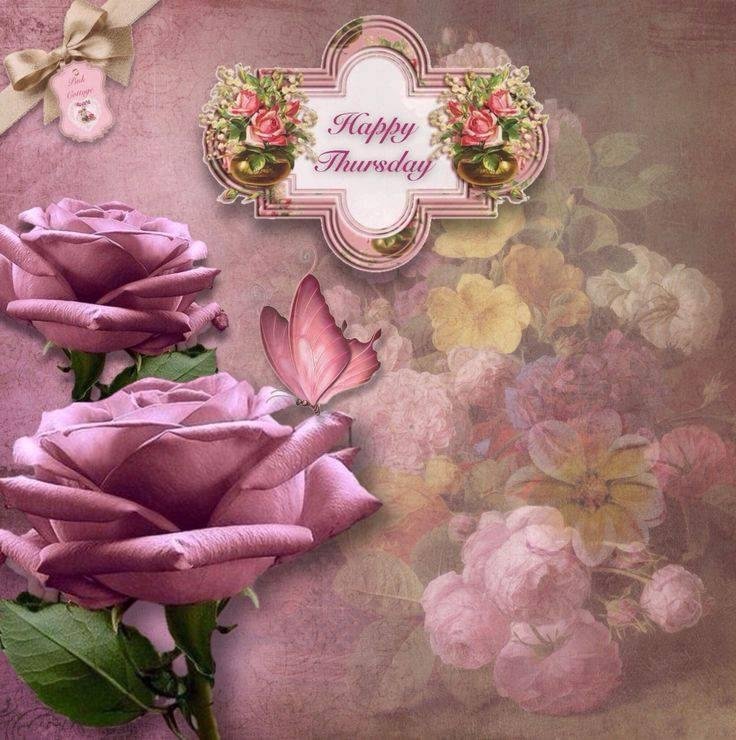 Candy Purcell's album, Timeline Photos
